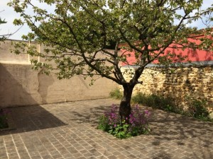 courspilatesyogasaintmaur55